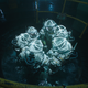 Image for article titled The derivative Alien gloss Underwater comes close to the platonic ideal of a January release
